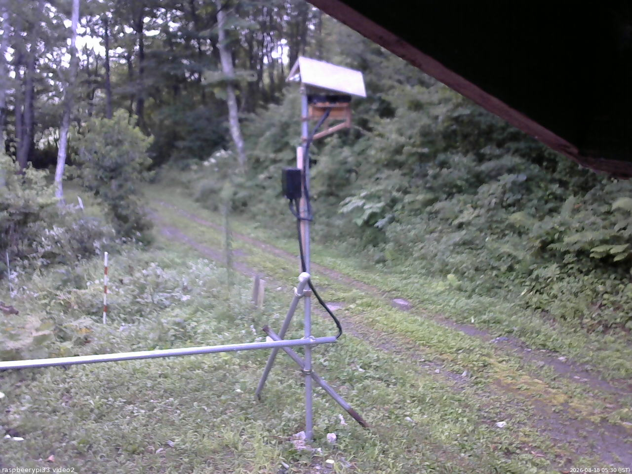 長野県菅平高原 ゆたか山荘 南側 2026/08/18 05:30