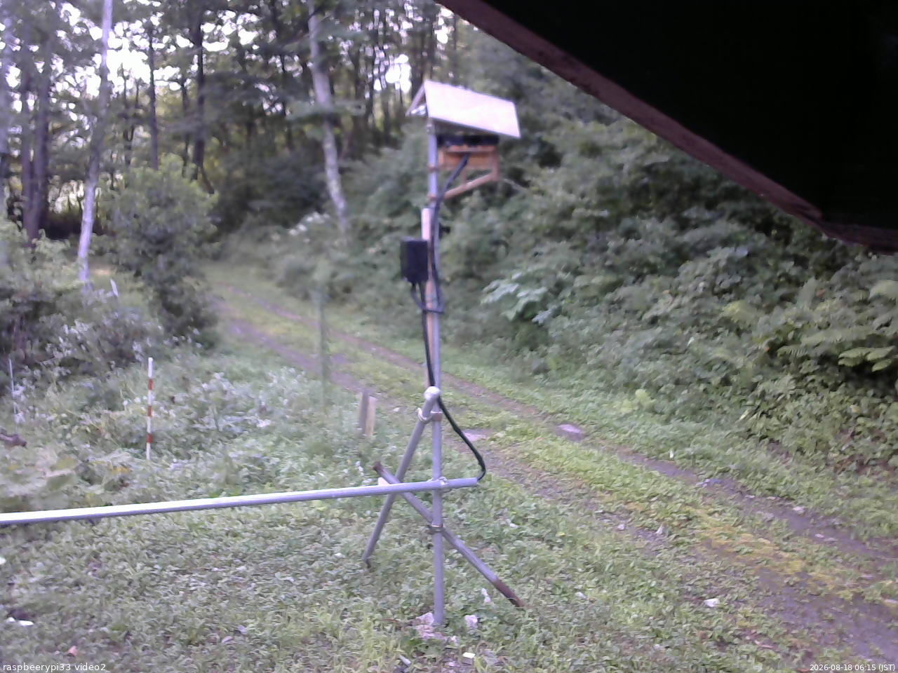 長野県菅平高原 ゆたか山荘 南側 2026/08/18 06:15