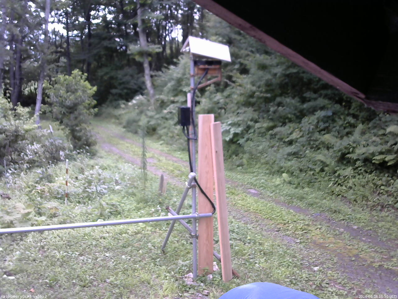 長野県菅平高原 ゆたか山荘 南側 2026/08/18 10:30