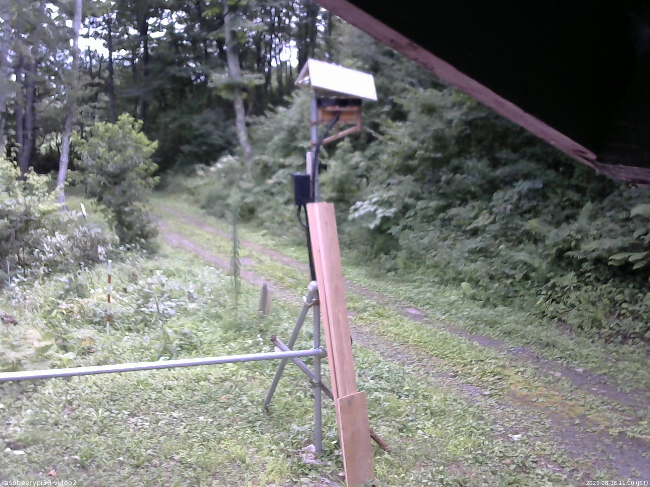 長野県菅平高原 ゆたか山荘 南側 2026/08/18 11:00