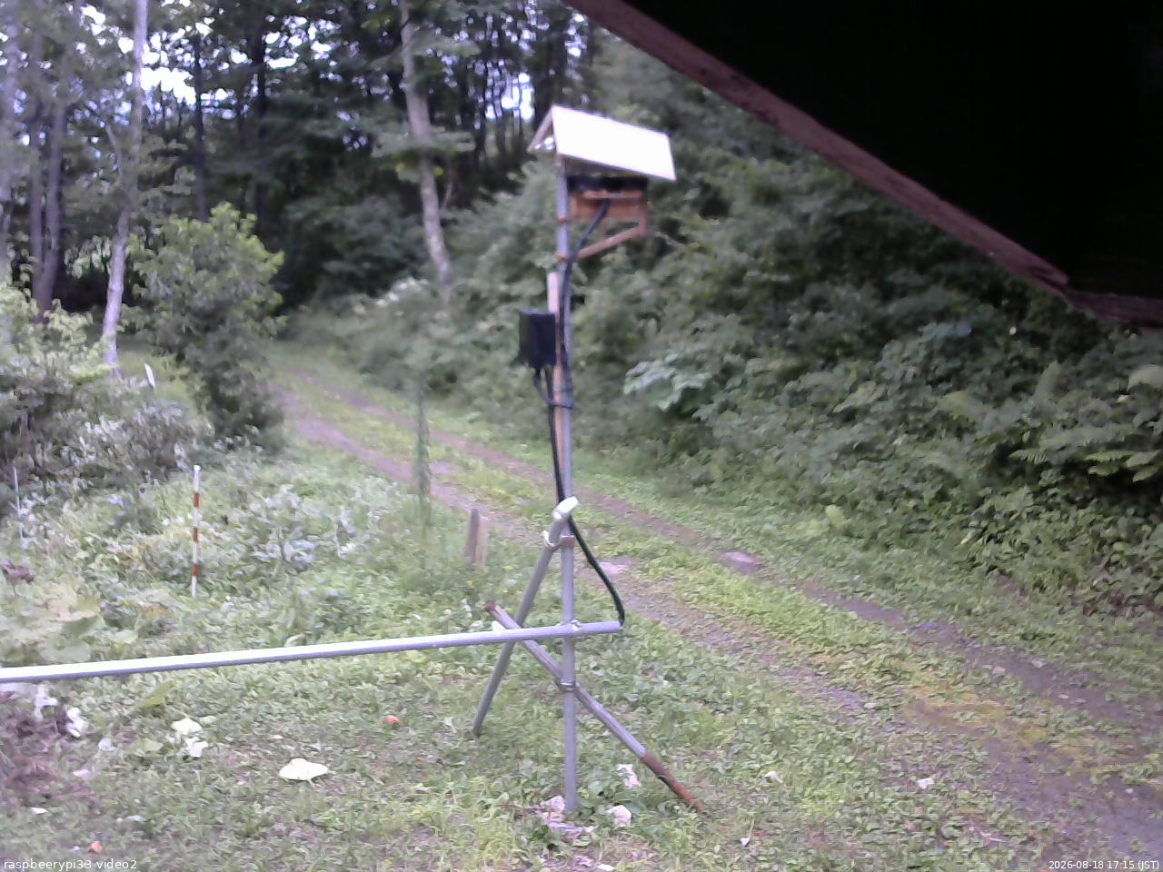 長野県菅平高原 ゆたか山荘 南側 2026/08/18 17:15