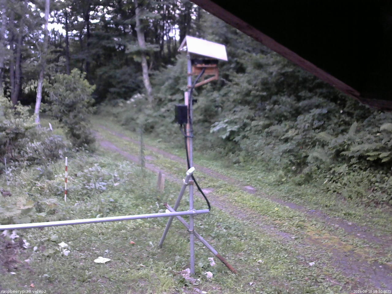 長野県菅平高原 ゆたか山荘 南側 2026/08/18 18:30