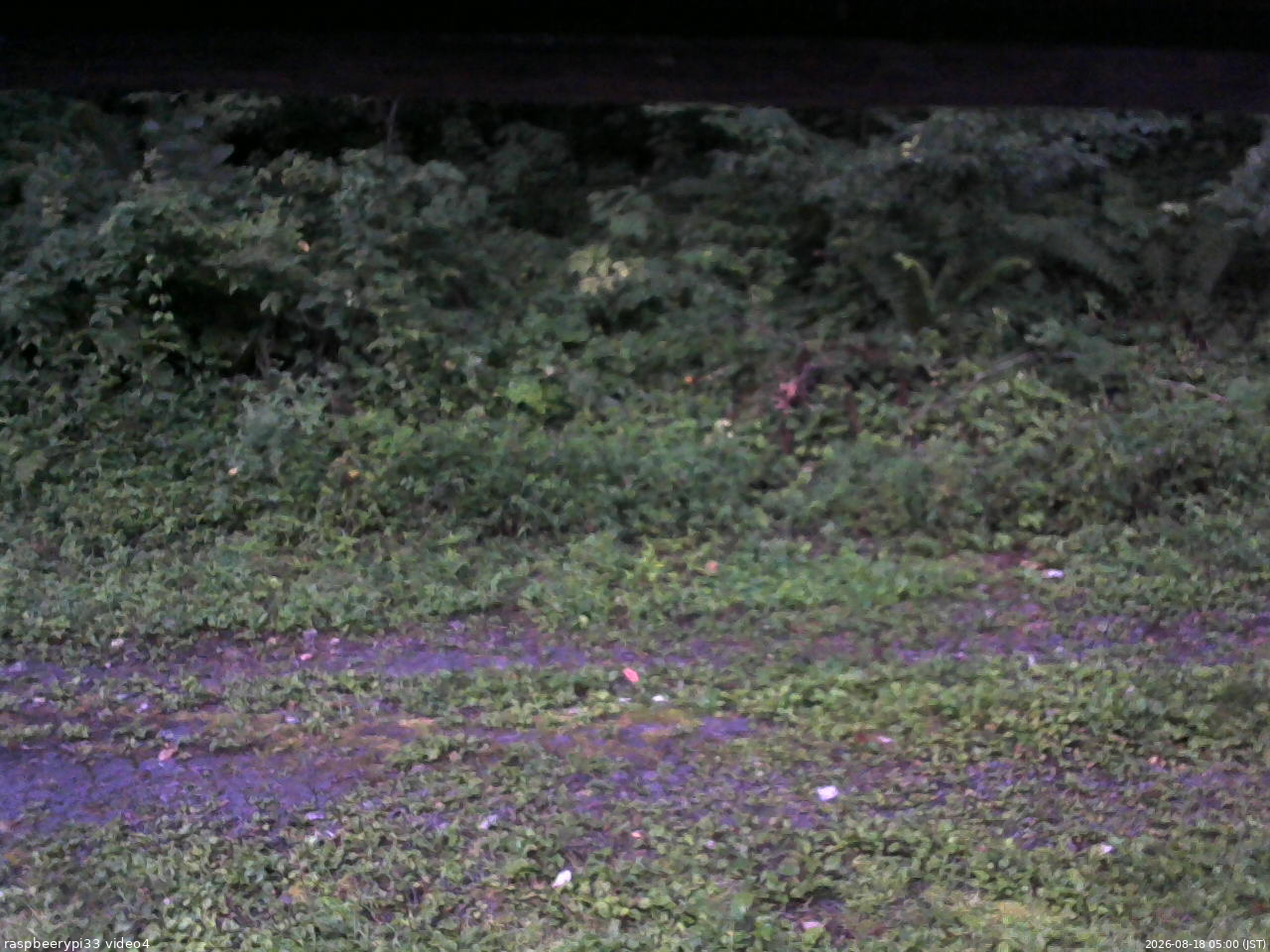 長野県菅平高原 ゆたか山荘 東側(坂下) 2026/08/18 05:00