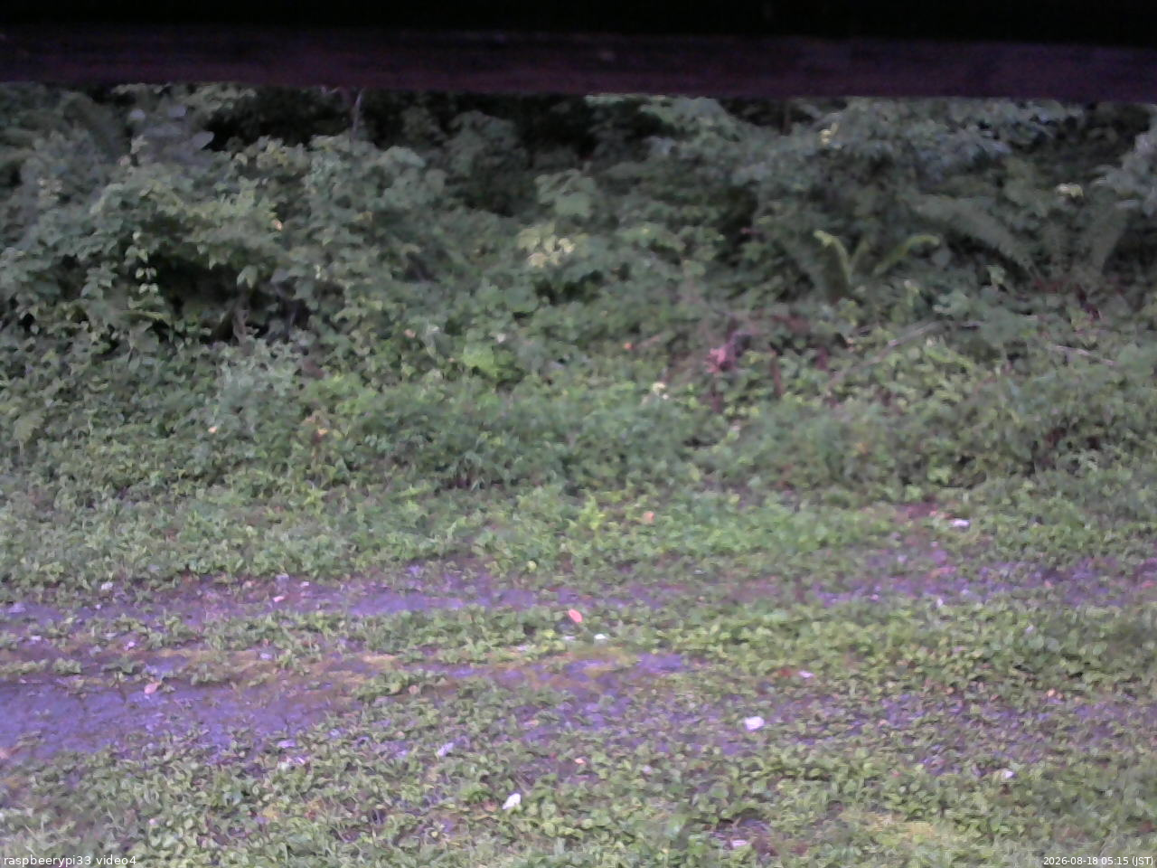 長野県菅平高原 ゆたか山荘 東側(坂下) 2026/08/18 05:15