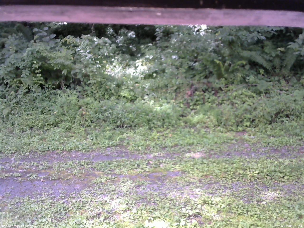 長野県菅平高原 ゆたか山荘 東側(坂下) 2026/08/18 09:15
