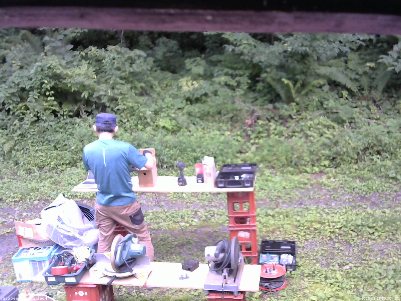長野県菅平高原 ゆたか山荘 東側(坂下) 2026/08/18 10:30