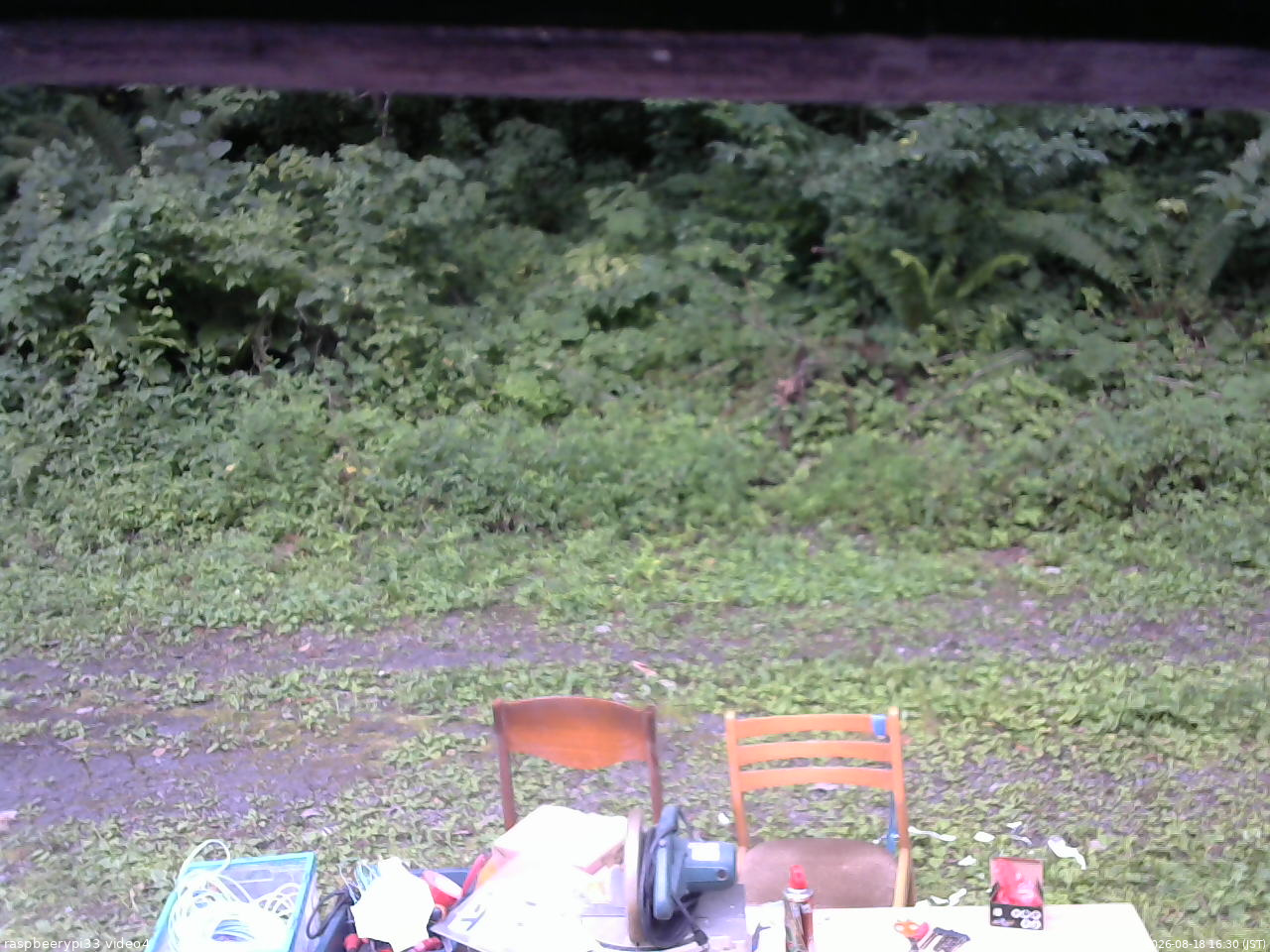 長野県菅平高原 ゆたか山荘 東側(坂下) 2026/08/18 16:30