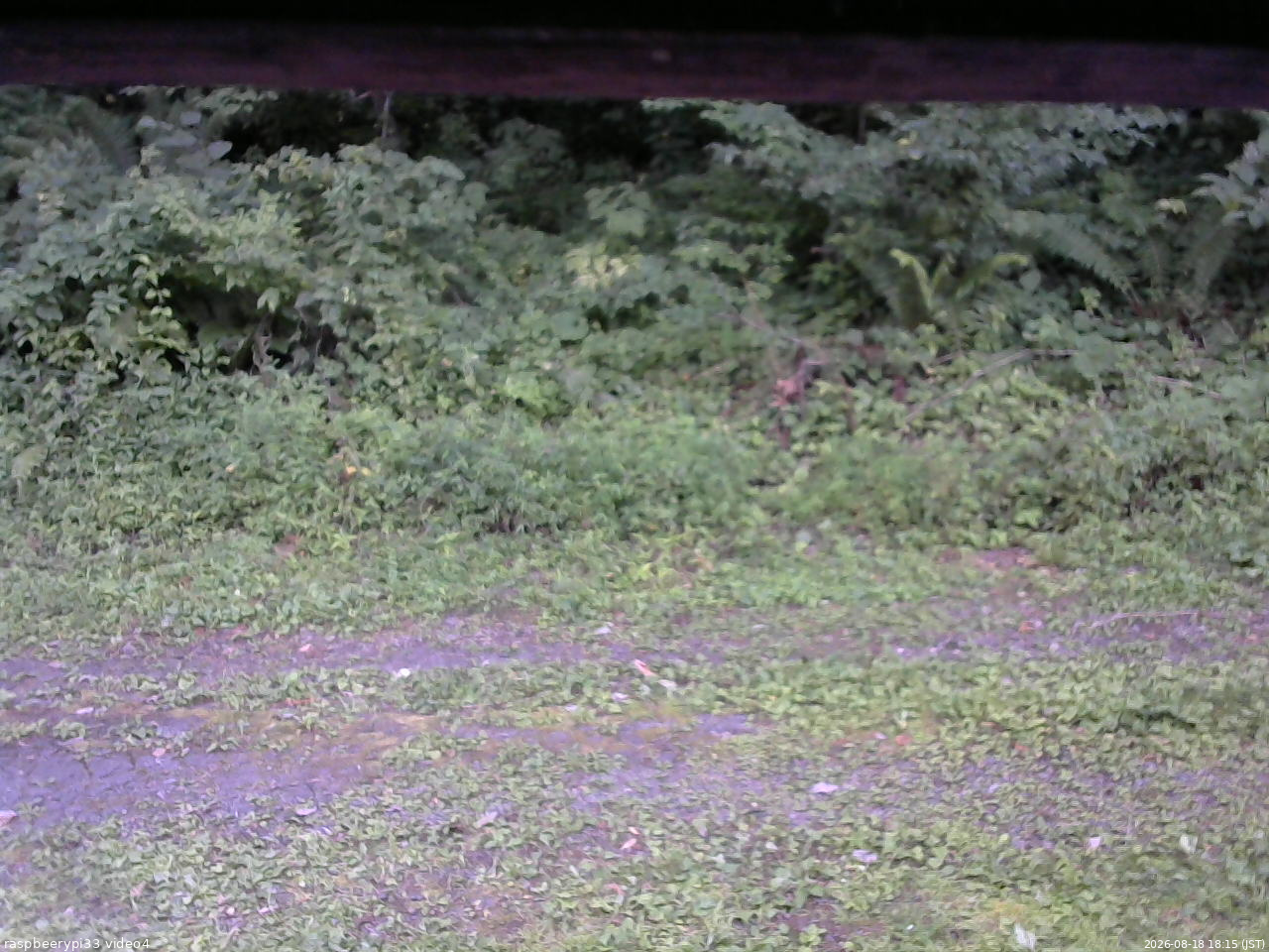 長野県菅平高原 ゆたか山荘 東側(坂下) 2026/08/18 18:15