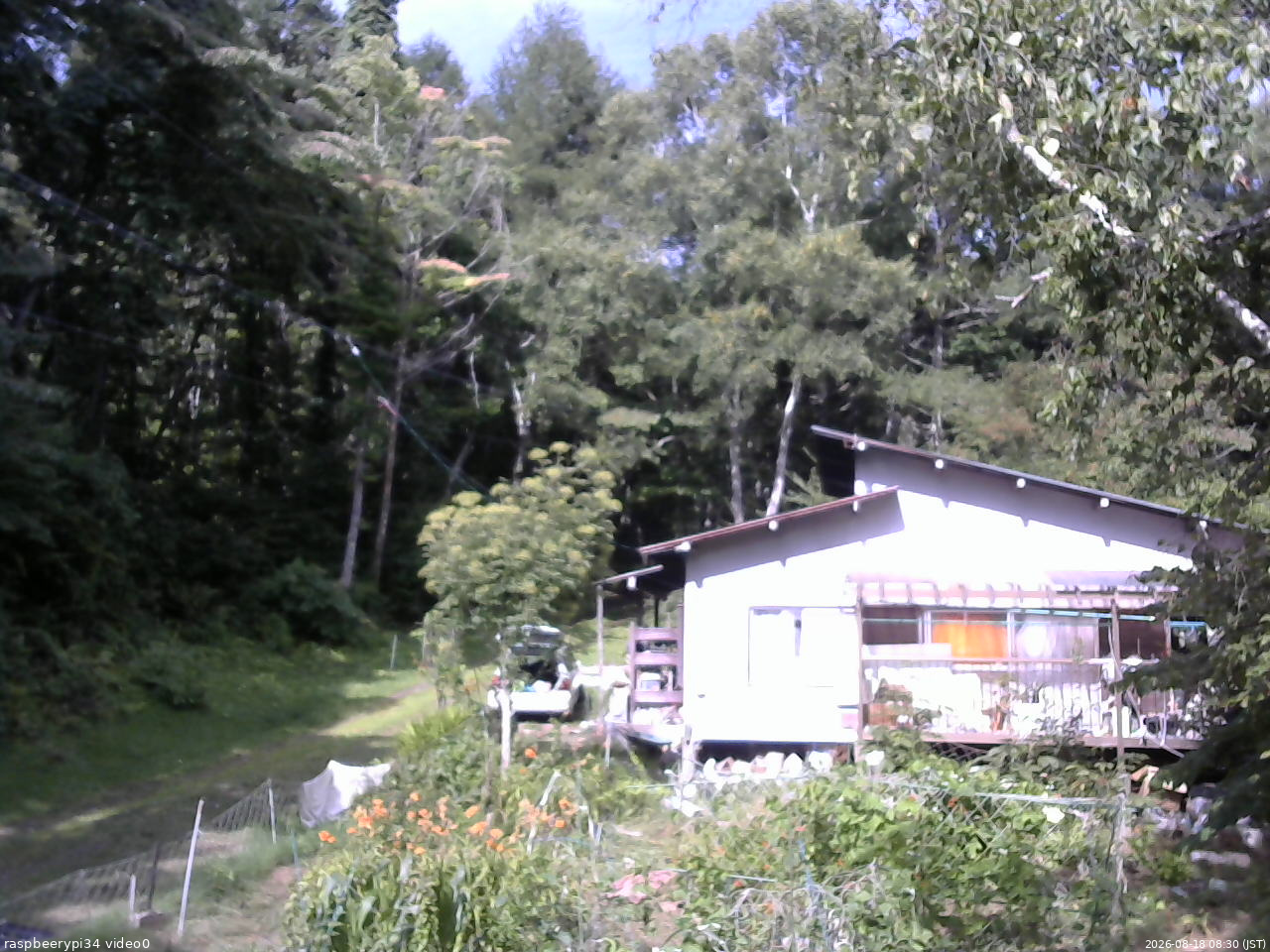 長野県菅平高原 ゆたか山荘 西側(坂上) 2026/08/18 08:30