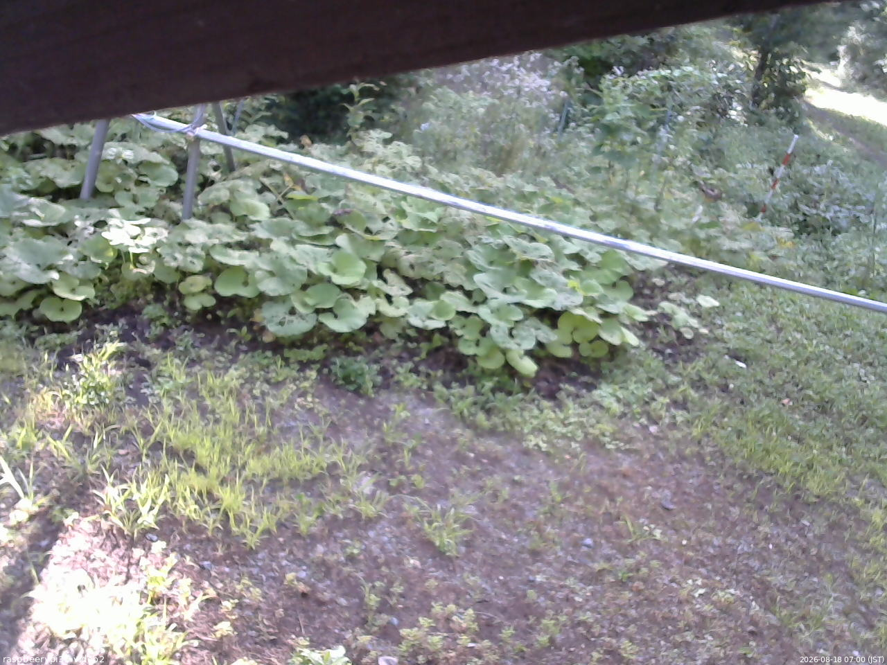 長野県菅平高原 ゆたか山荘 駐車場 2026/08/18 07:00