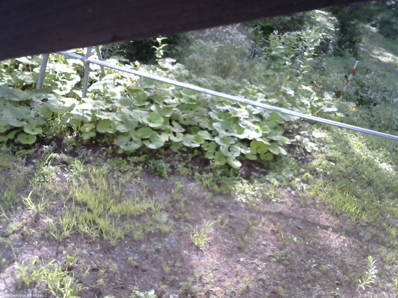 長野県菅平高原 ゆたか山荘 駐車場 2026/08/18 07:45