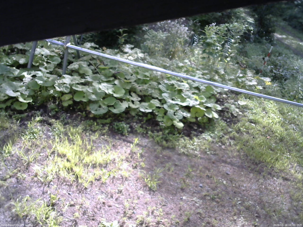 長野県菅平高原 ゆたか山荘 駐車場 2026/08/18 08:00