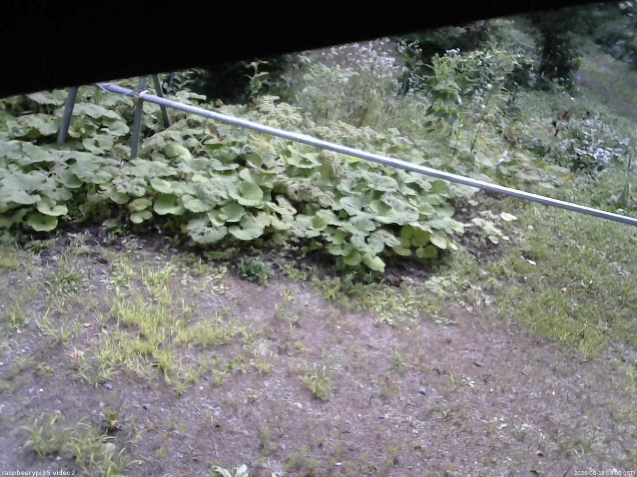 長野県菅平高原 ゆたか山荘 駐車場 2026/08/18 09:00