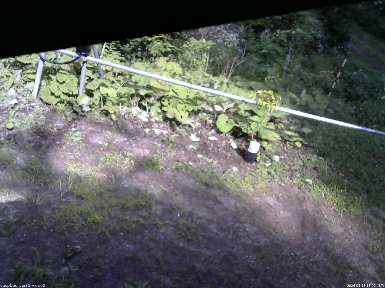 長野県菅平高原 ゆたか山荘 駐車場 2026/08/18 15:00
