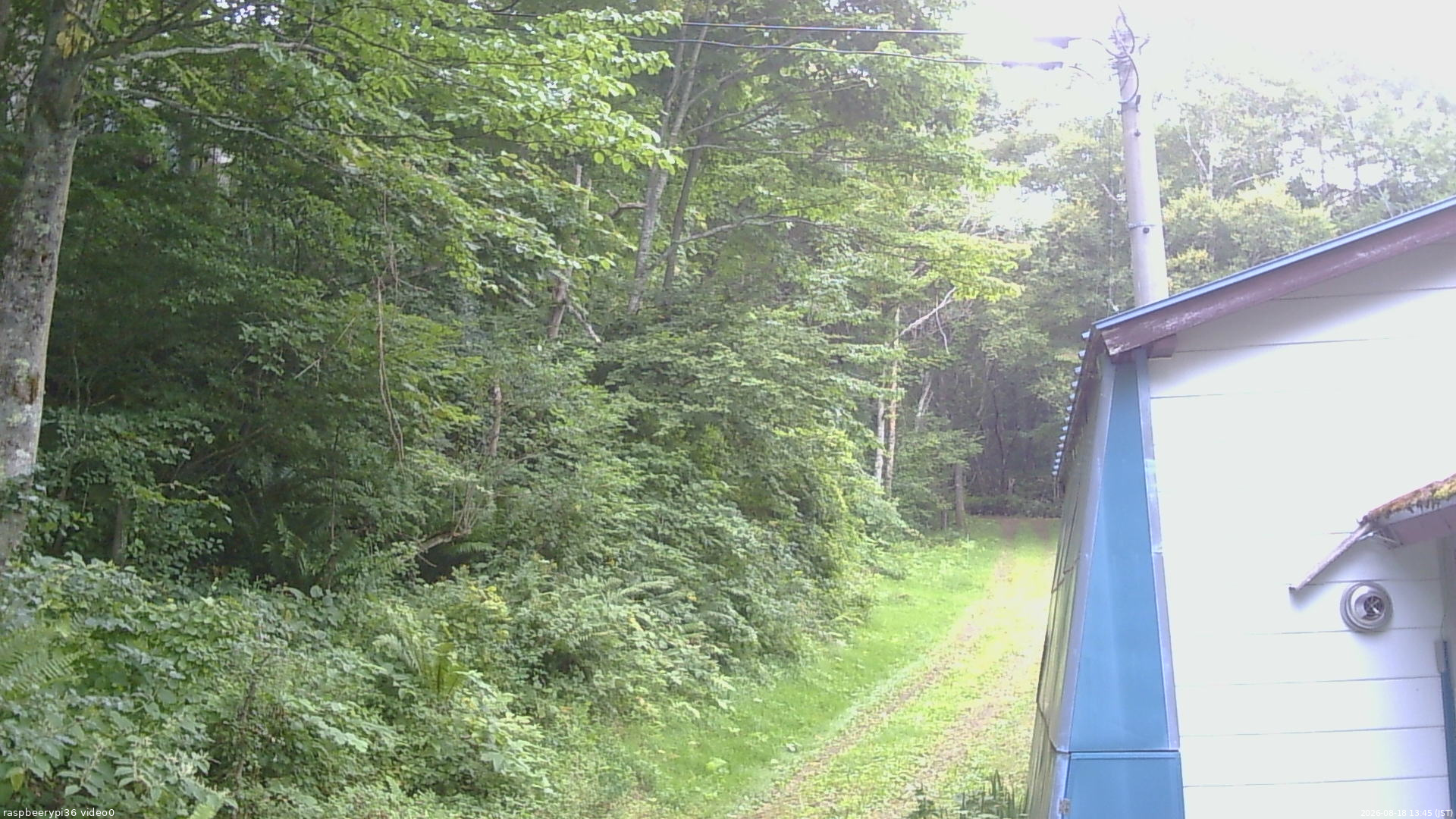 長野県菅平高原 ゆたか山荘 ゆたか山荘 2026/08/18 13:45
