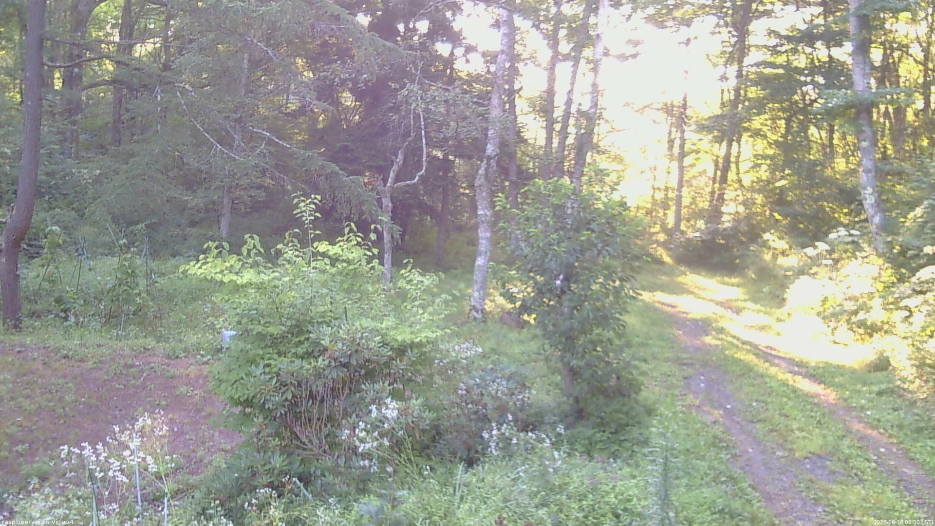 長野県菅平高原 ゆたか山荘 坂上 2026/08/18 06:00