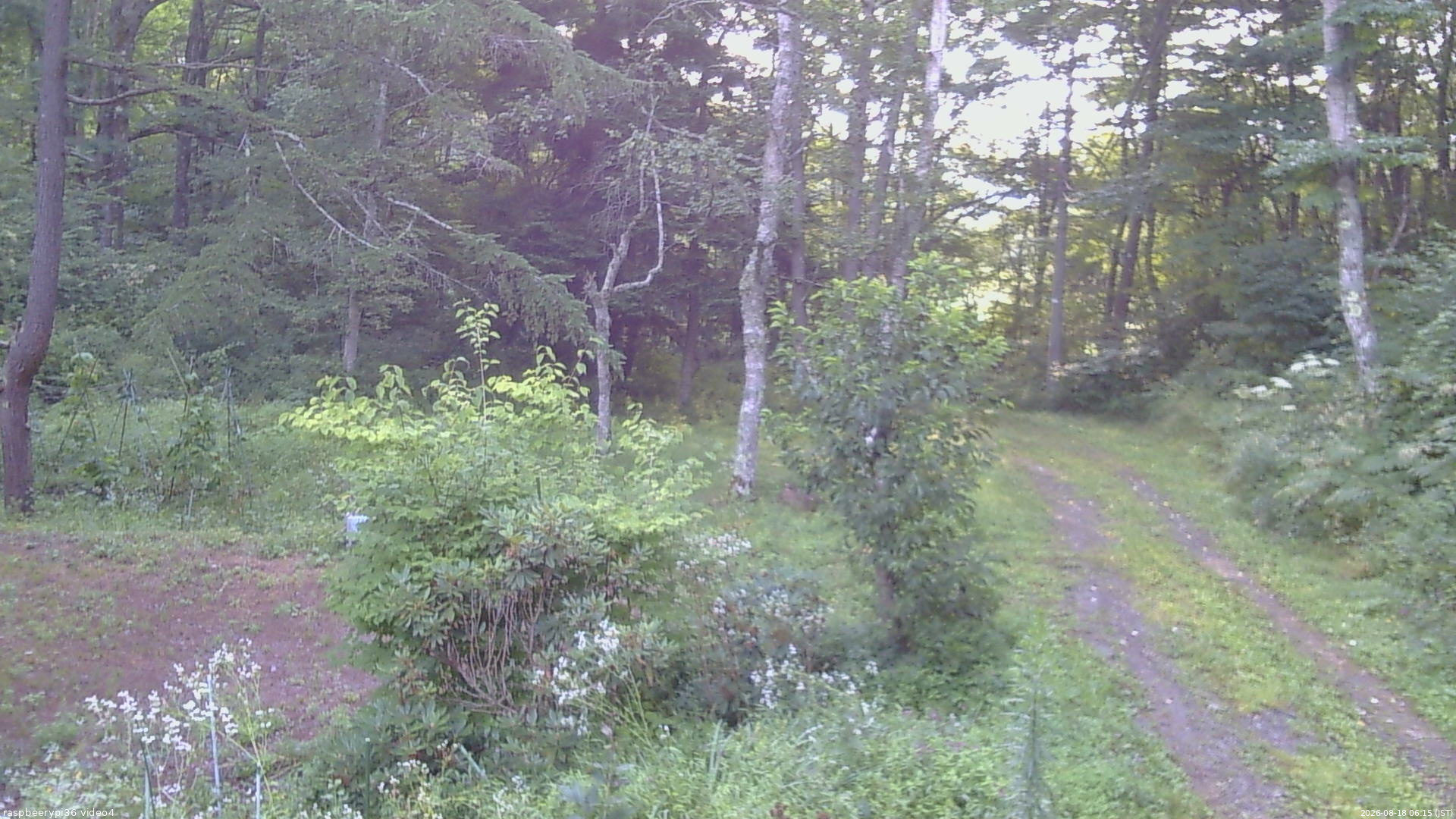 長野県菅平高原 ゆたか山荘 坂上 2026/08/18 06:15