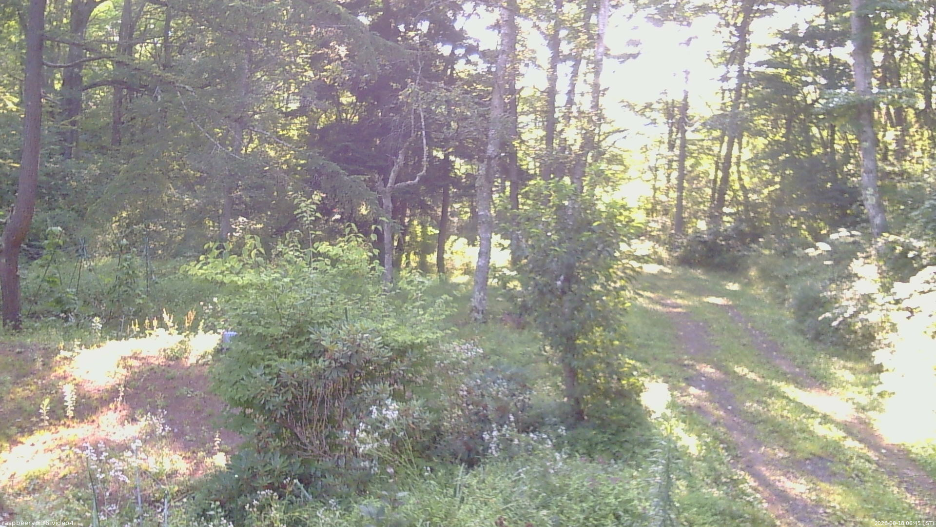 長野県菅平高原 ゆたか山荘 坂上 2026/08/18 06:45