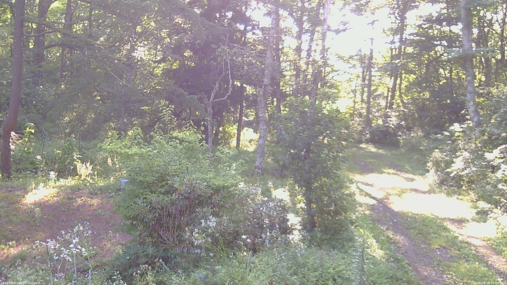 長野県菅平高原 ゆたか山荘 坂上 2026/08/18 07:00