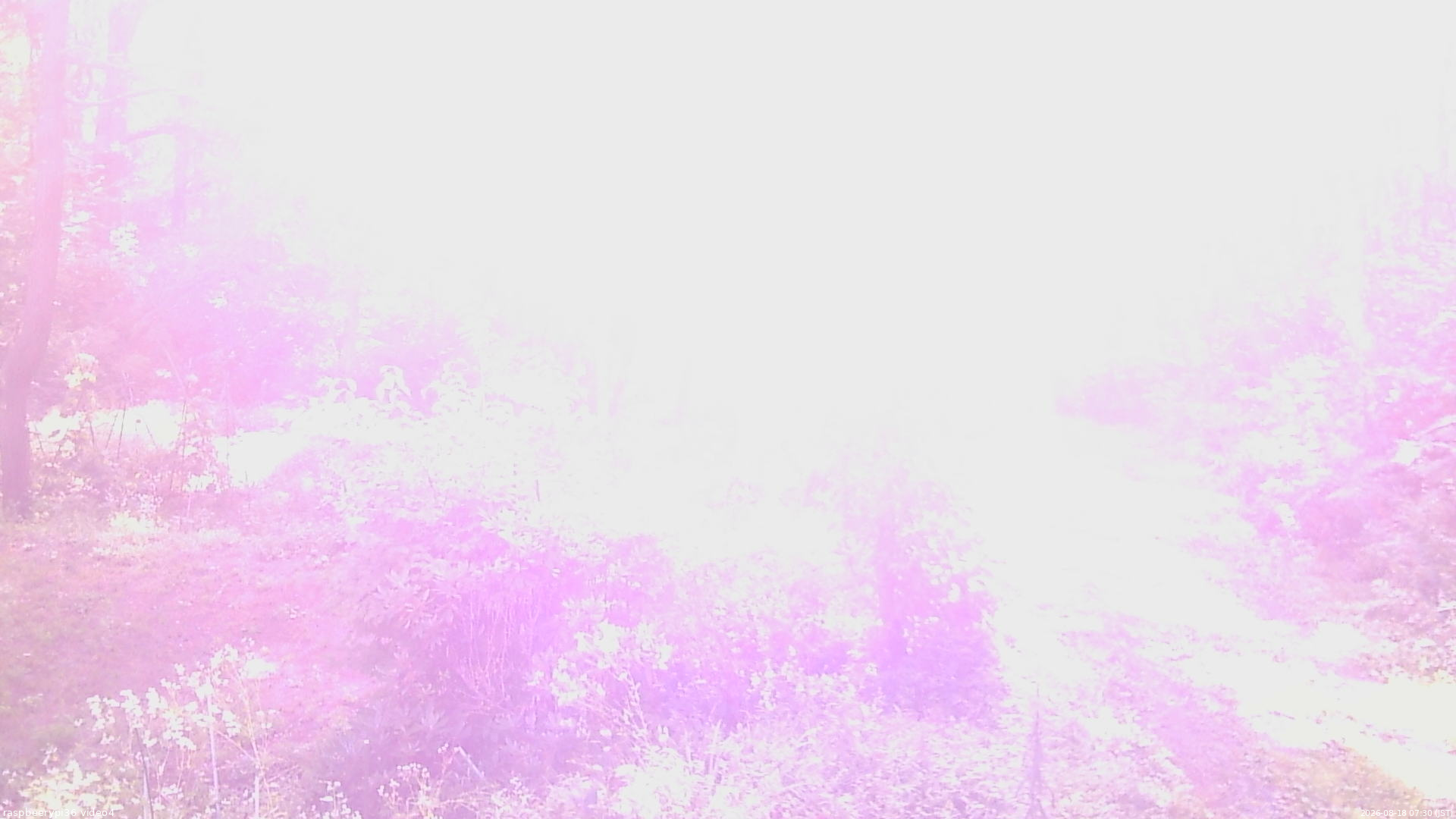 長野県菅平高原 ゆたか山荘 坂上 2026/08/18 07:30