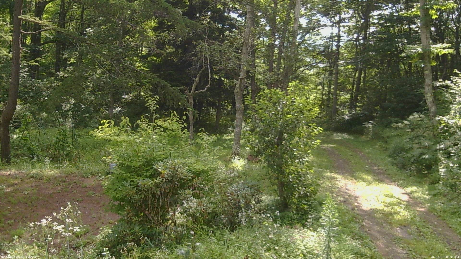 長野県菅平高原 ゆたか山荘 坂上 2026/08/18 08:30