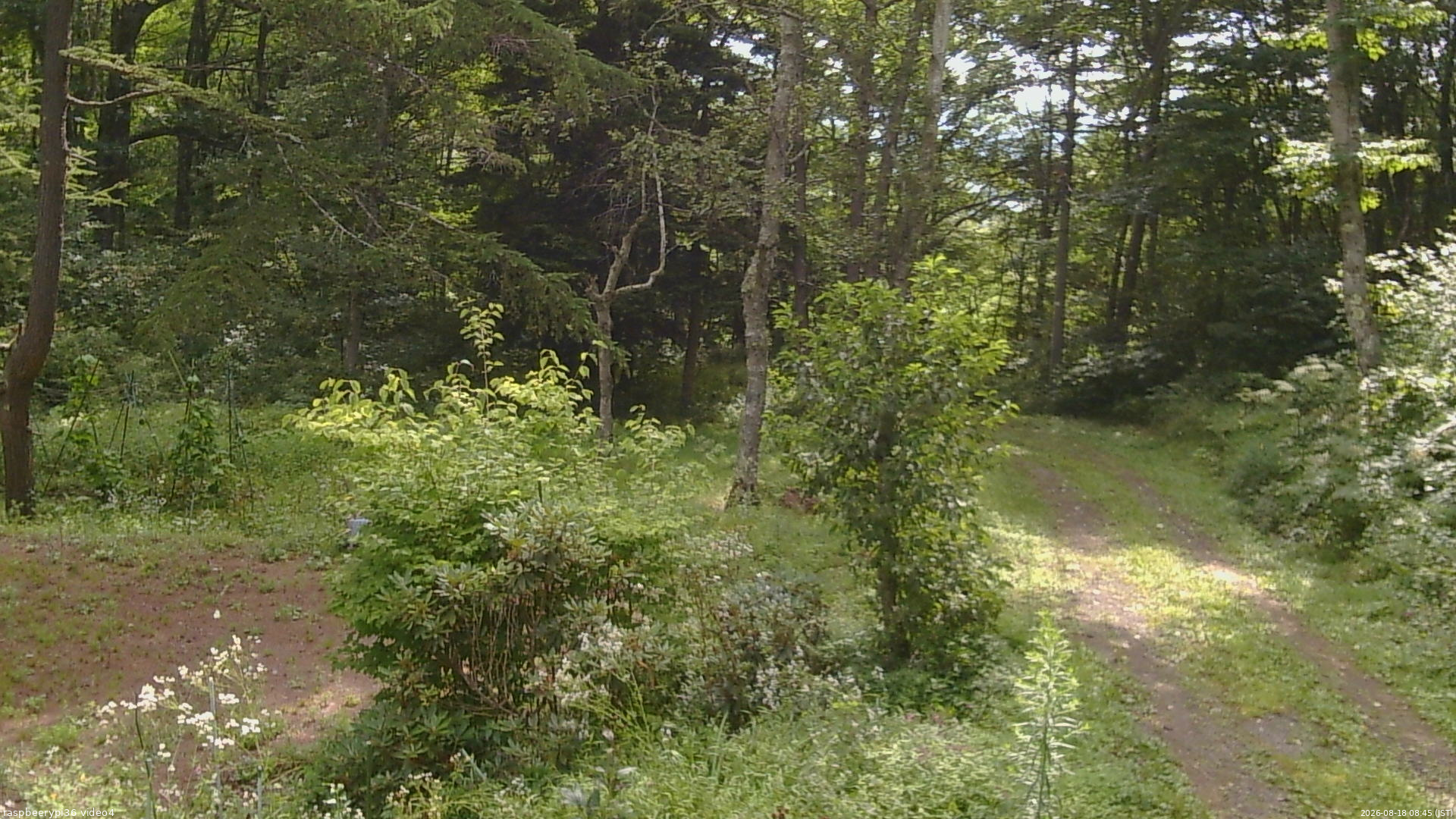 長野県菅平高原 ゆたか山荘 坂上 2026/08/18 08:45