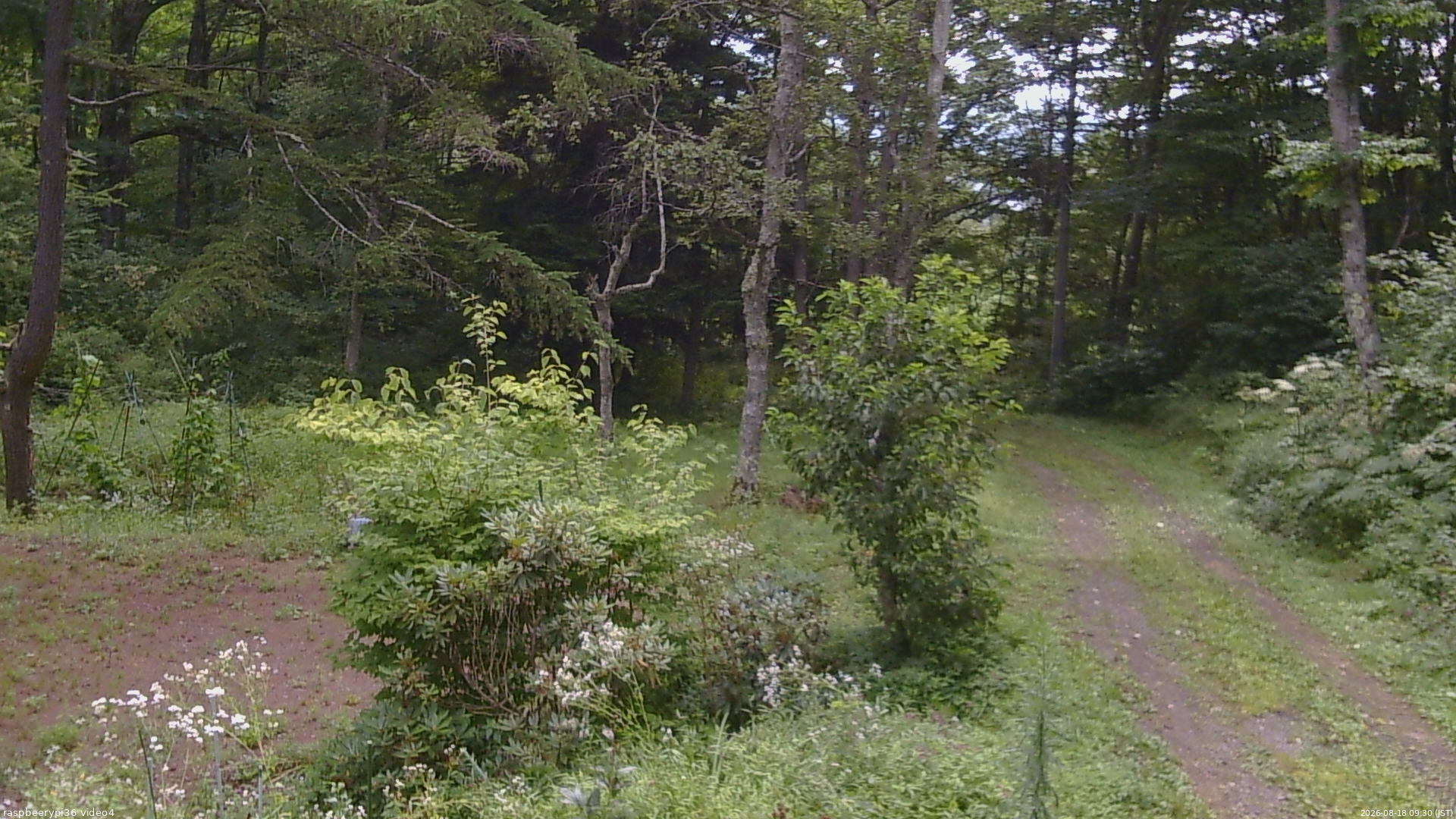 長野県菅平高原 ゆたか山荘 坂上 2026/08/18 09:30