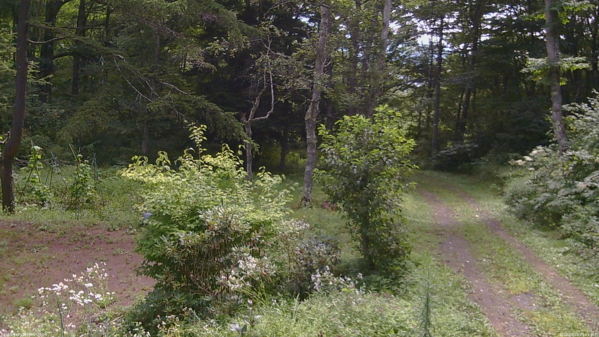 長野県菅平高原 ゆたか山荘 坂上 2026/08/18 09:45
