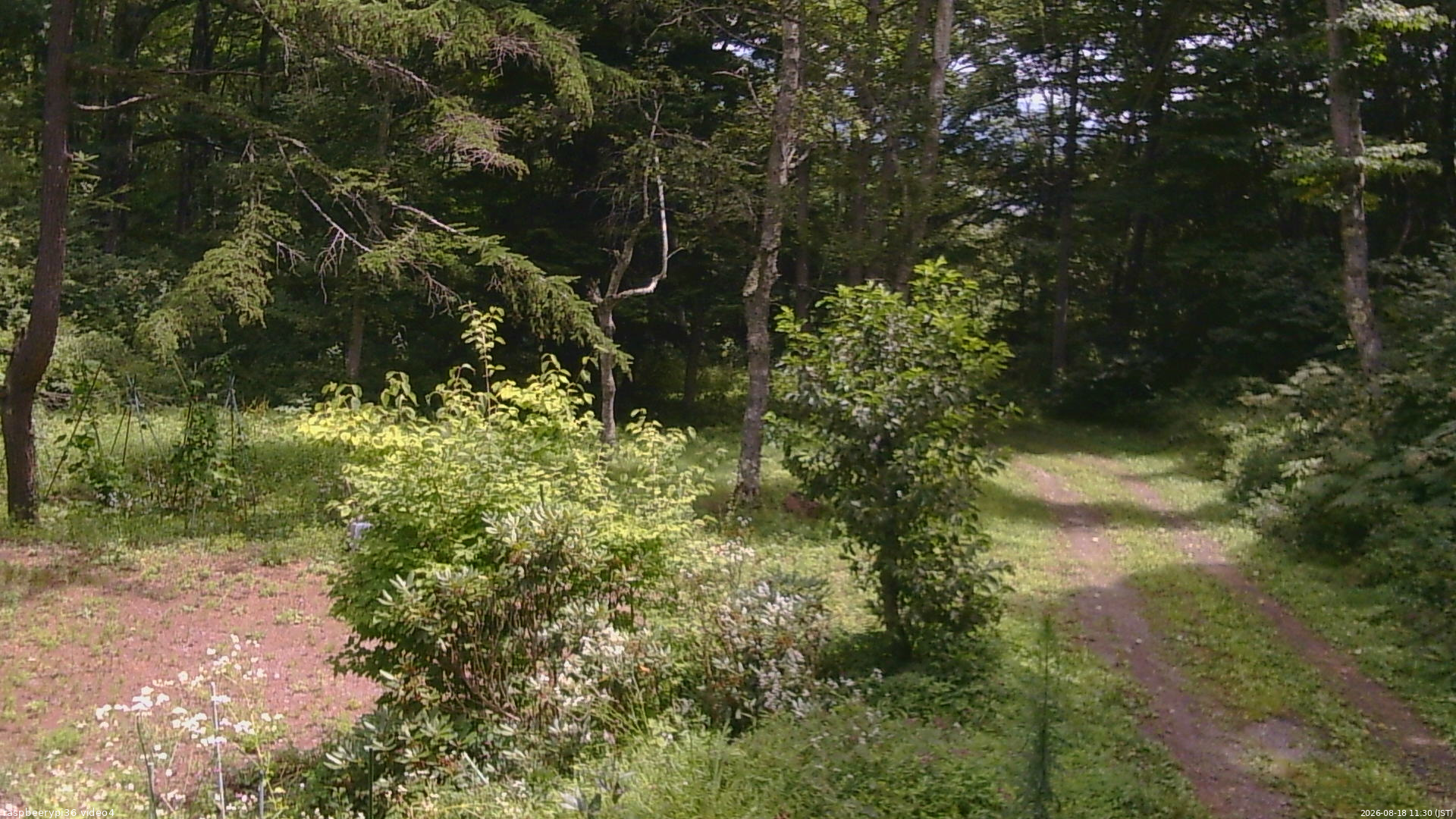 長野県菅平高原 ゆたか山荘 坂上 2026/08/18 11:30
