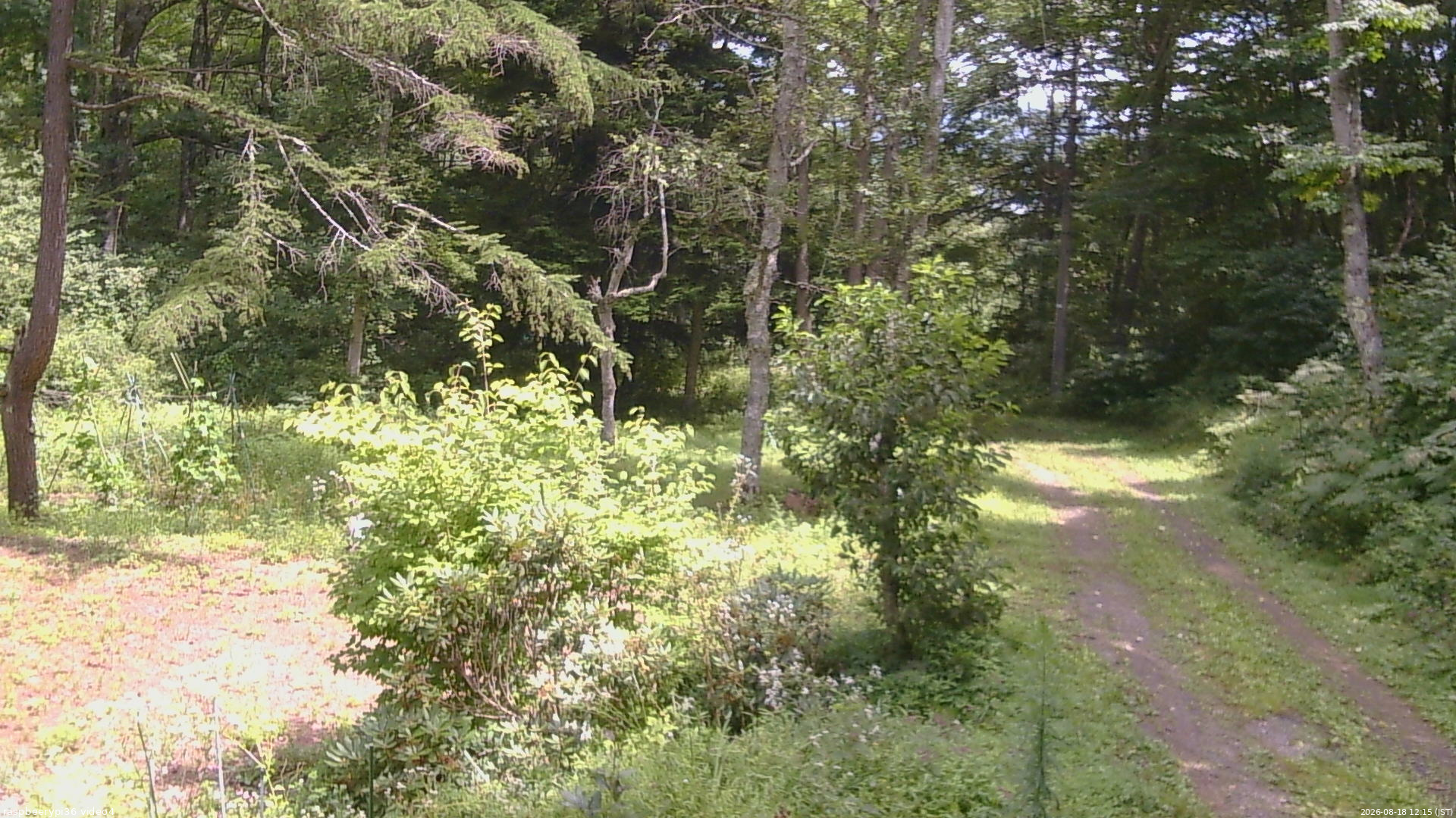 長野県菅平高原 ゆたか山荘 坂上 2026/08/18 12:15