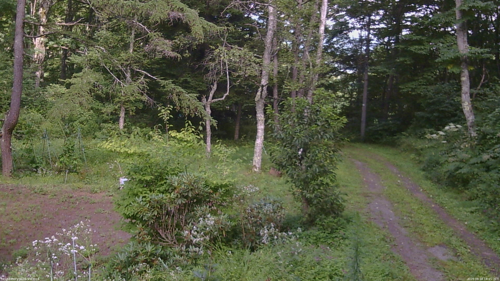 長野県菅平高原 ゆたか山荘 坂上 2026/08/18 14:45