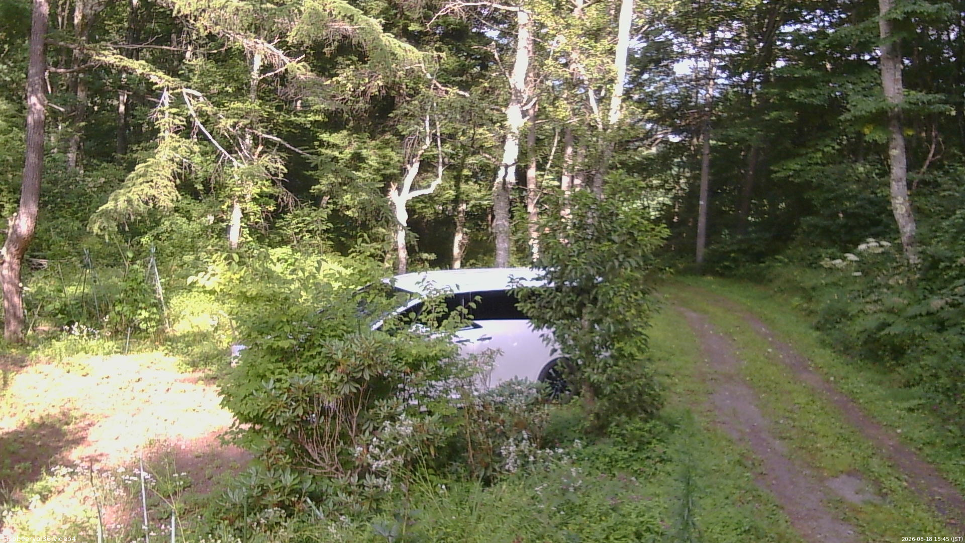 長野県菅平高原 ゆたか山荘 坂上 2026/08/18 15:45
