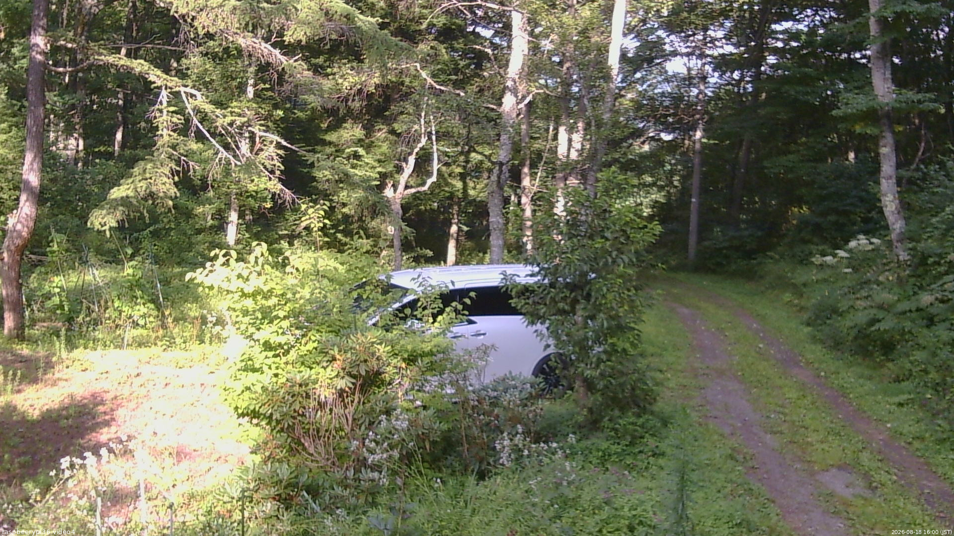 長野県菅平高原 ゆたか山荘 坂上 2026/08/18 16:00