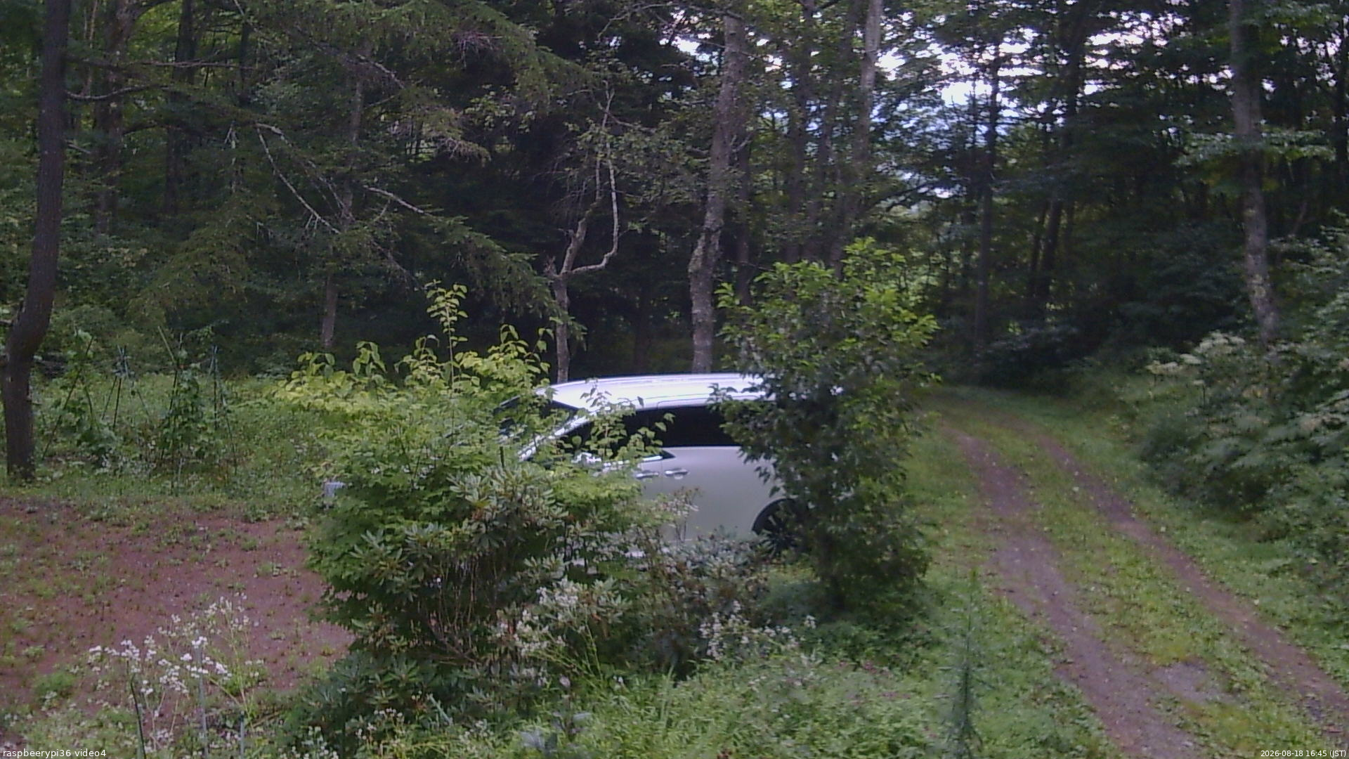 長野県菅平高原 ゆたか山荘 坂上 2026/08/18 16:45