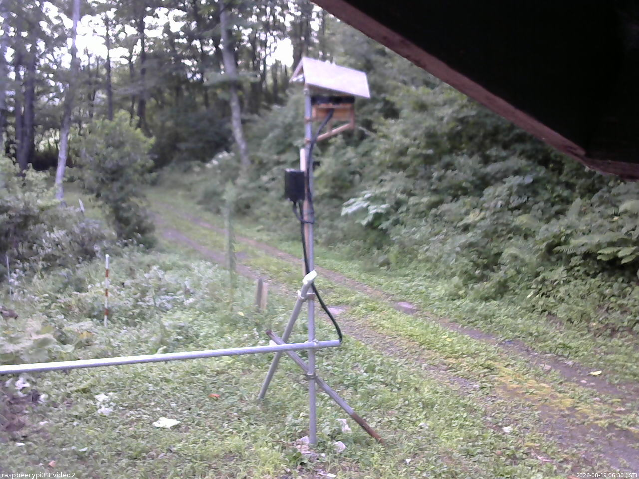 長野県菅平高原 ゆたか山荘 南側 2026/08/19 06:30