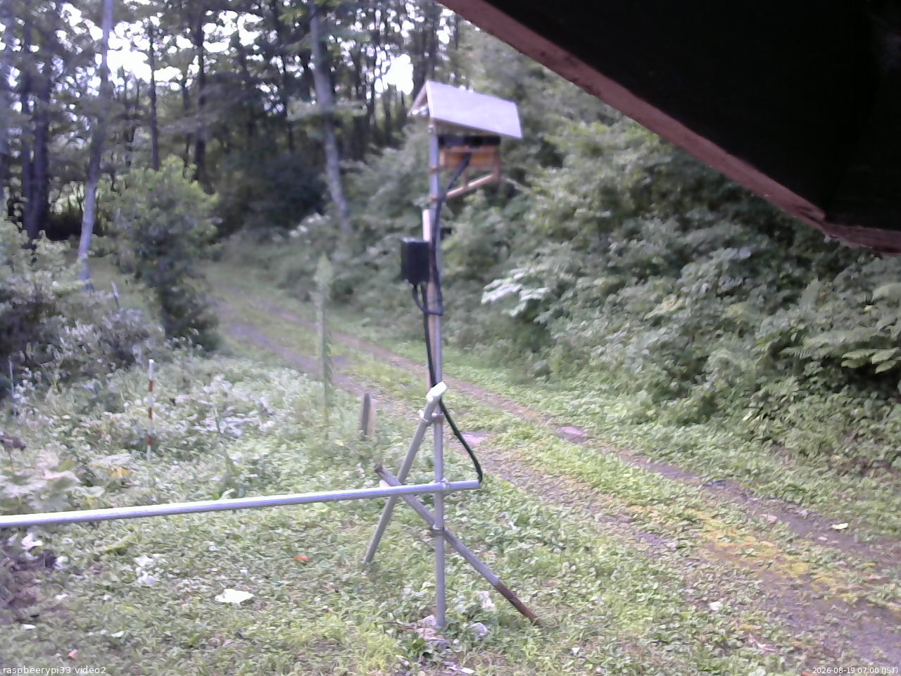 長野県菅平高原 ゆたか山荘 南側 2026/08/19 07:00