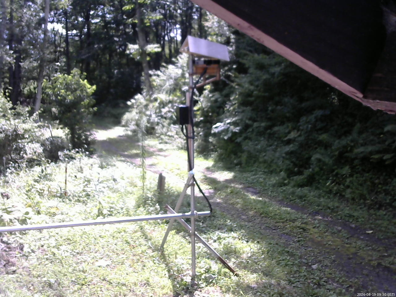 長野県菅平高原 ゆたか山荘 南側 2026/08/19 09:30