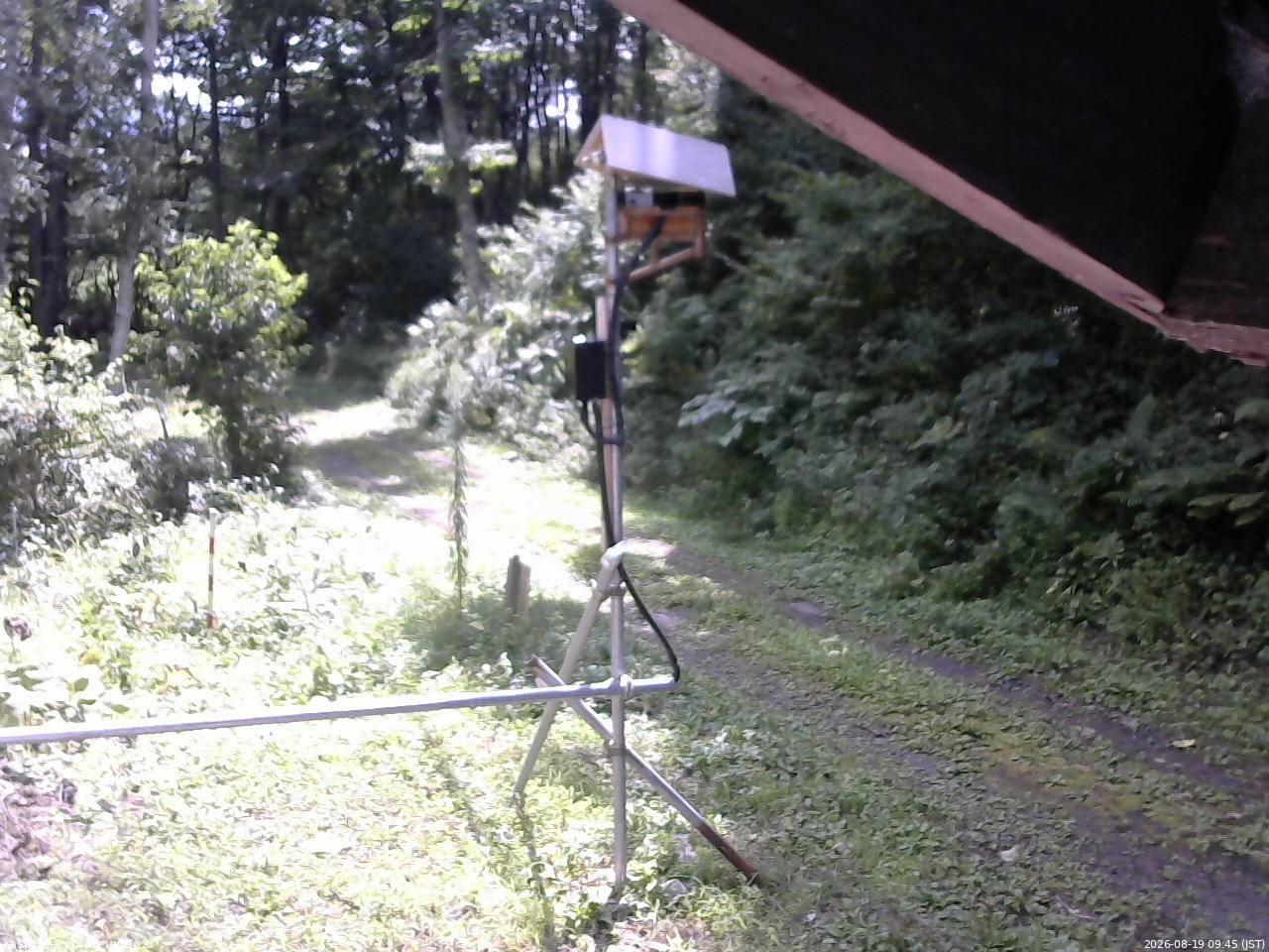 長野県菅平高原 ゆたか山荘 南側 2026/08/19 09:45