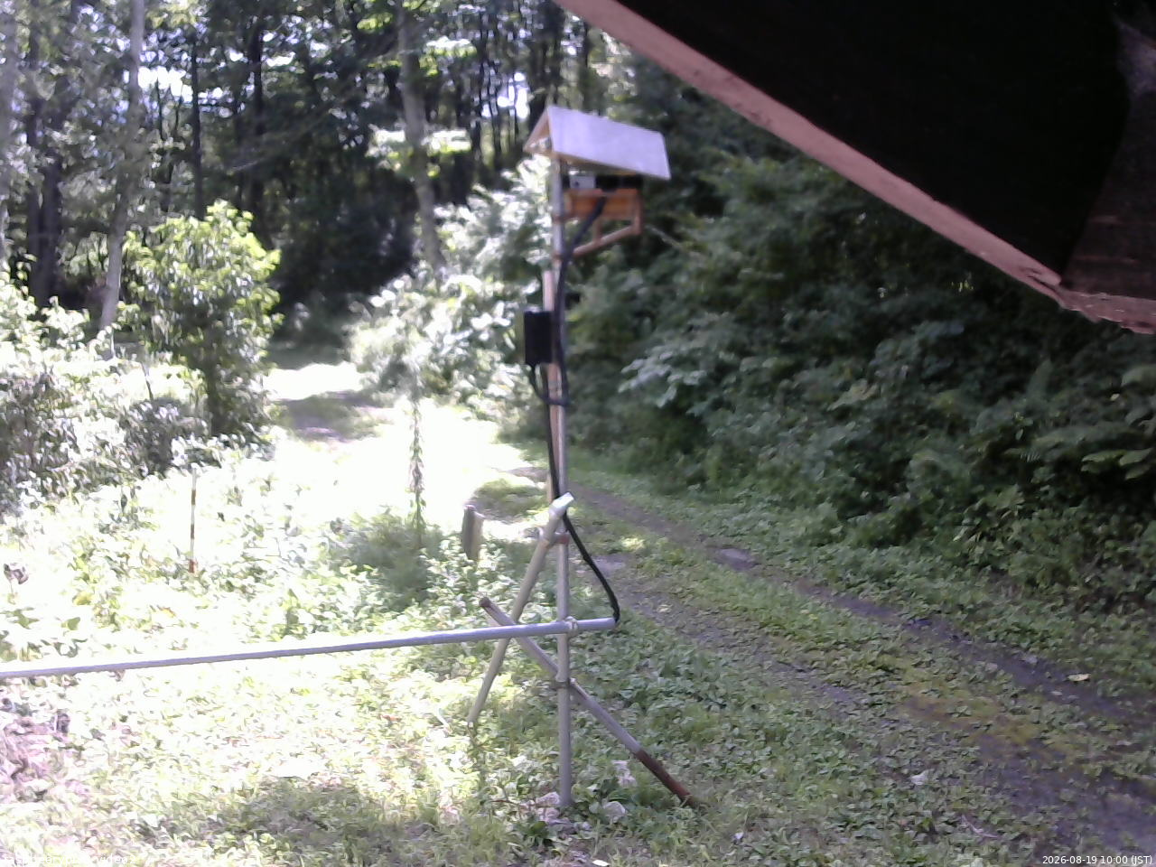 長野県菅平高原 ゆたか山荘 南側 2026/08/19 10:00