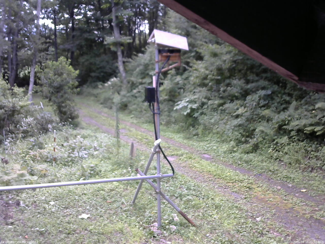 長野県菅平高原 ゆたか山荘 南側 2026/08/19 11:30