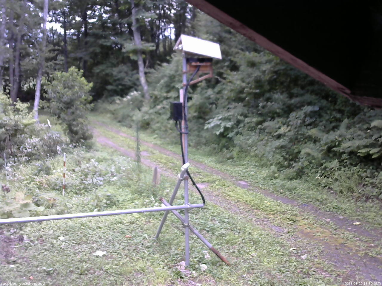 長野県菅平高原 ゆたか山荘 南側 2026/08/19 13:30