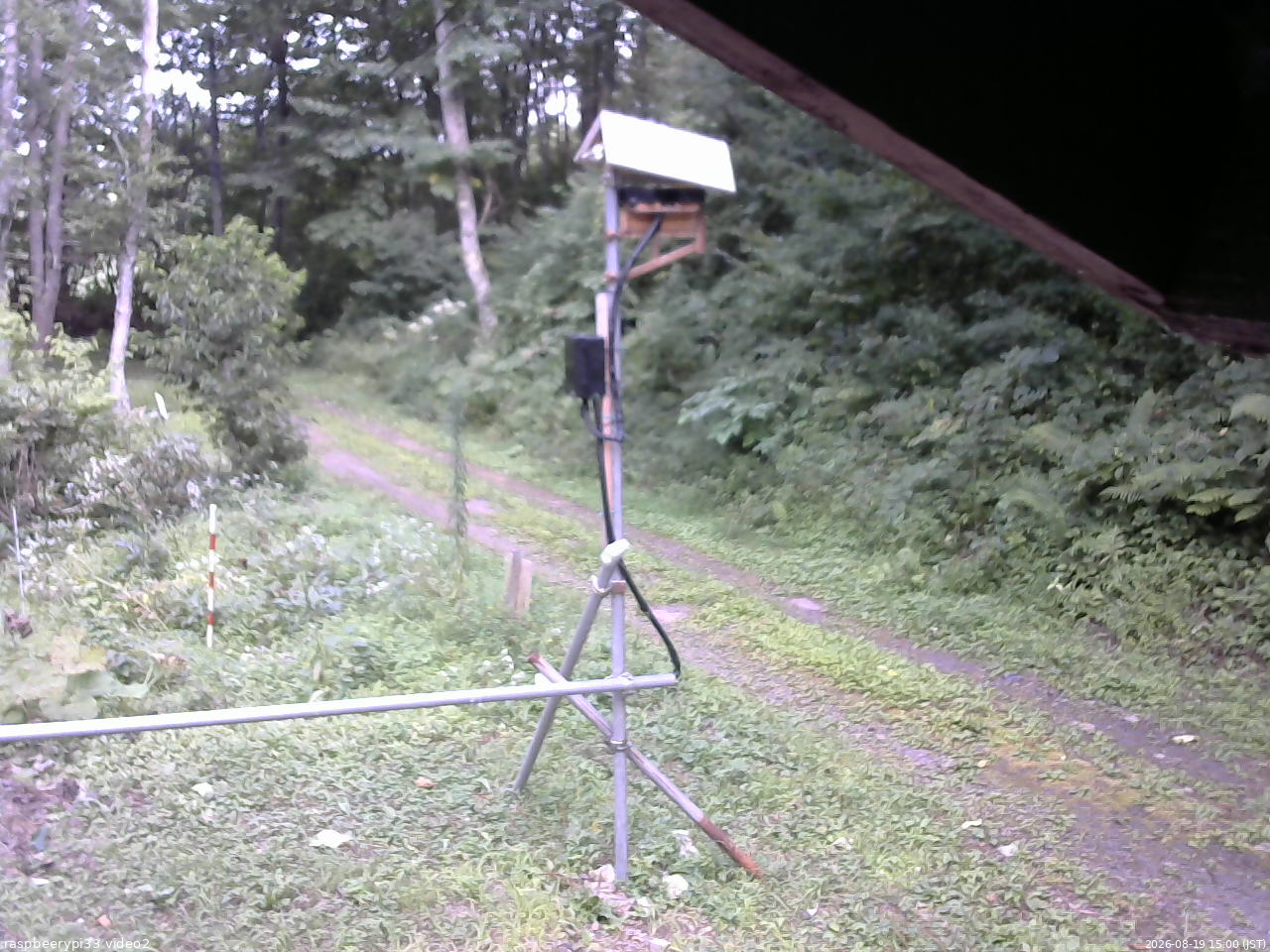 長野県菅平高原 ゆたか山荘 南側 2026/08/19 15:00