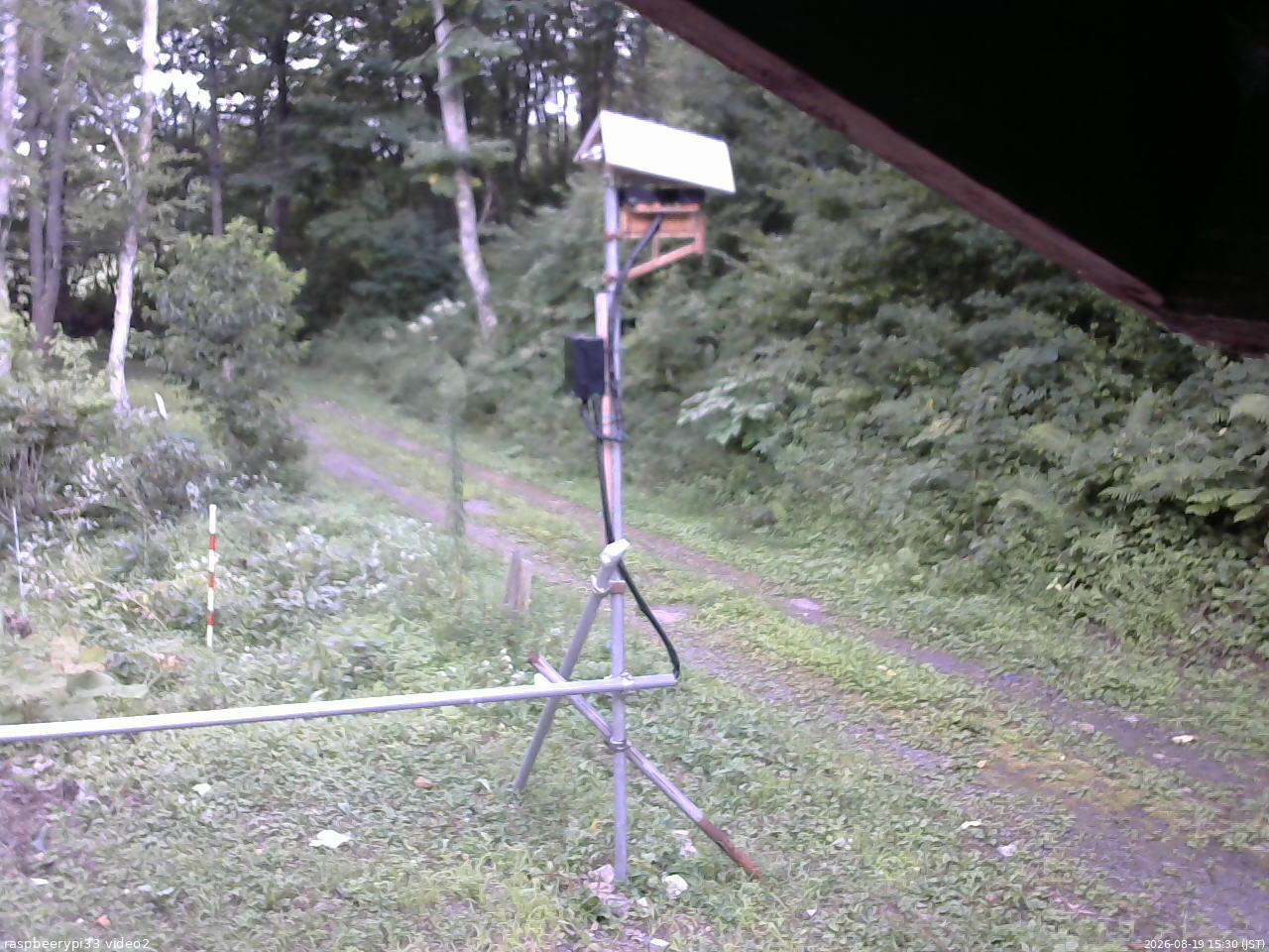 長野県菅平高原 ゆたか山荘 南側 2026/08/19 15:30