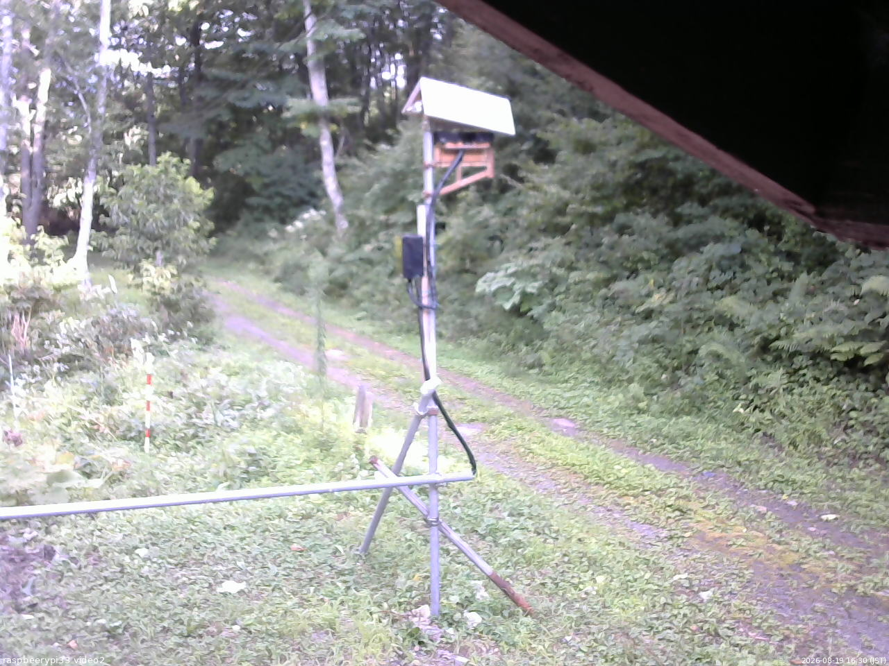 長野県菅平高原 ゆたか山荘 南側 2026/08/19 16:30