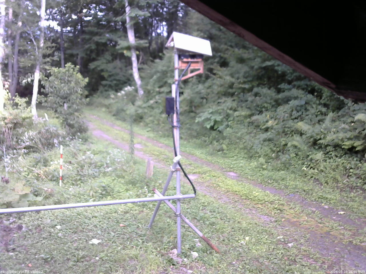 長野県菅平高原 ゆたか山荘 南側 2026/08/19 16:45