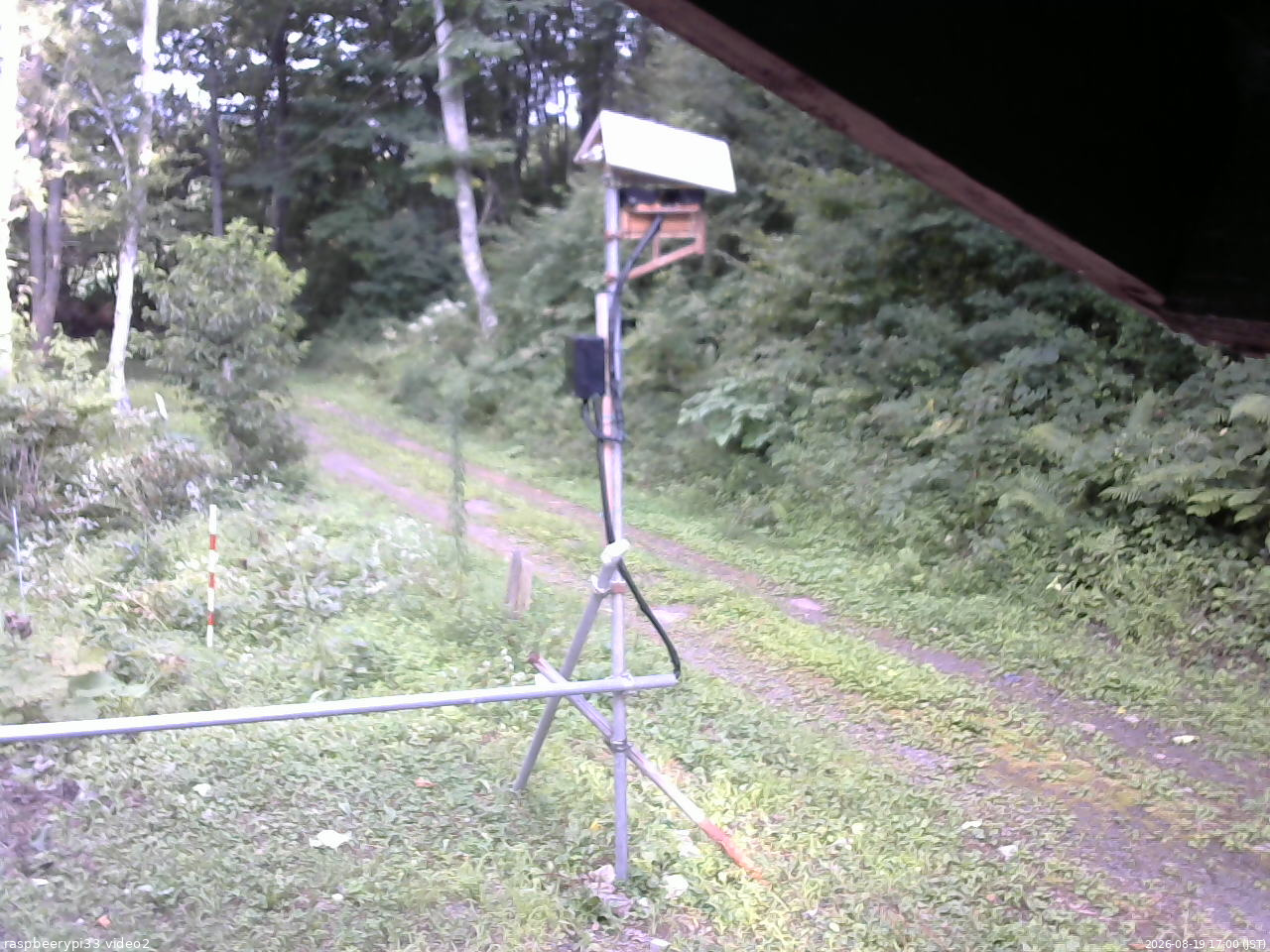 長野県菅平高原 ゆたか山荘 南側 2026/08/19 17:00