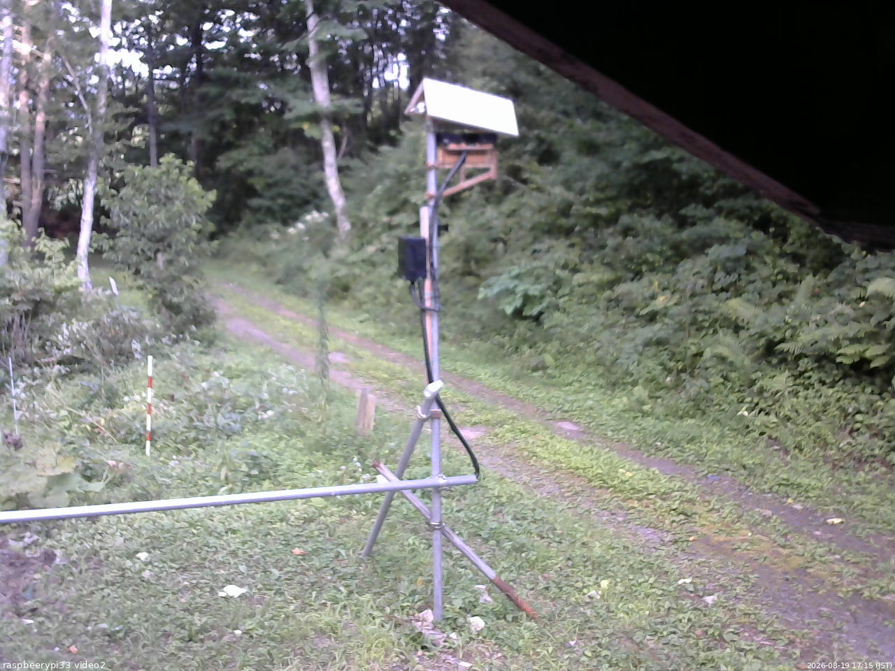 長野県菅平高原 ゆたか山荘 南側 2026/08/19 17:15