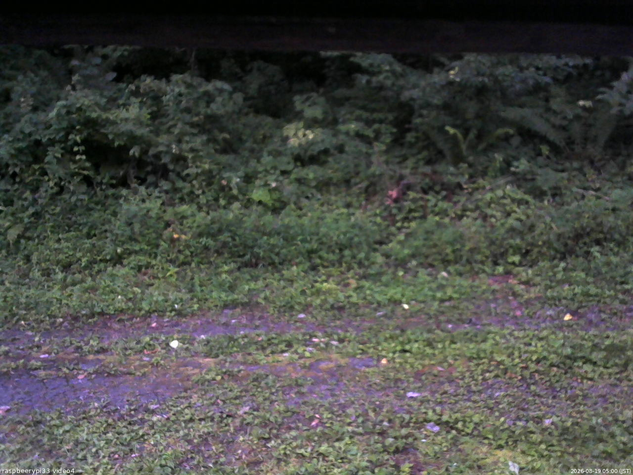 長野県菅平高原 ゆたか山荘 東側(坂下) 2026/08/19 05:00