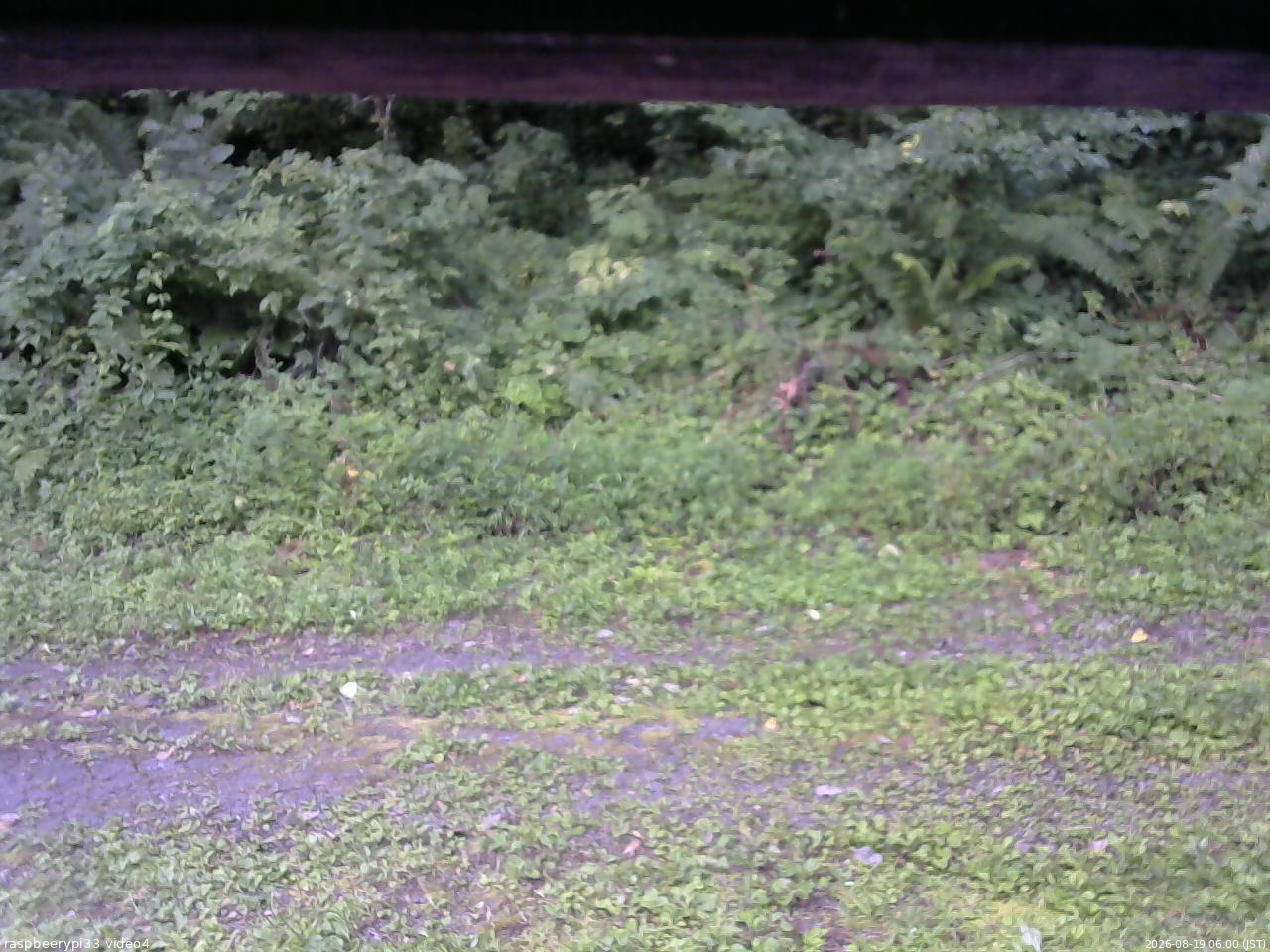 長野県菅平高原 ゆたか山荘 東側(坂下) 2026/08/19 06:00