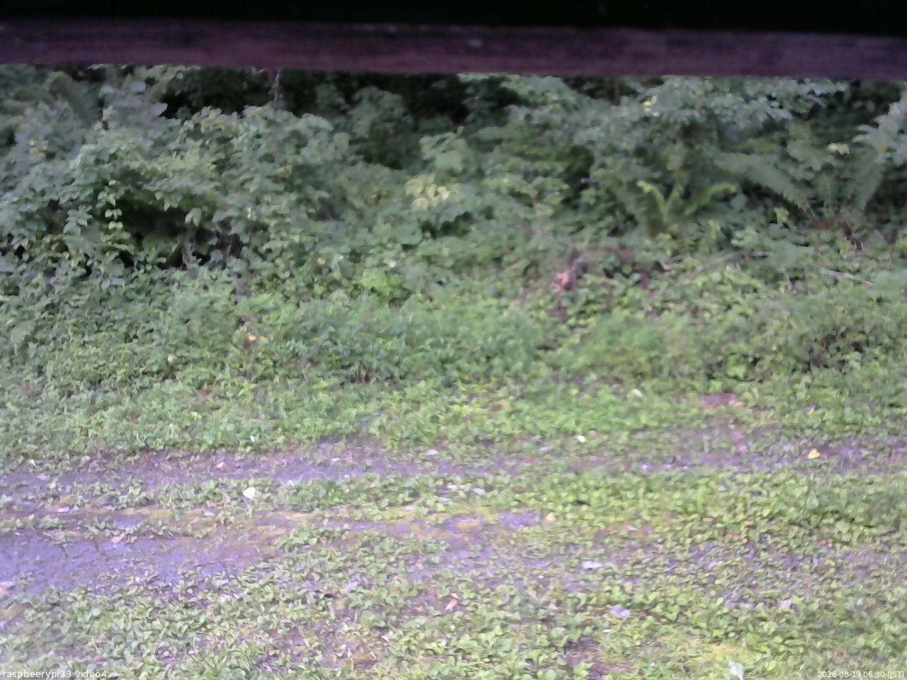 長野県菅平高原 ゆたか山荘 東側(坂下) 2026/08/19 06:30